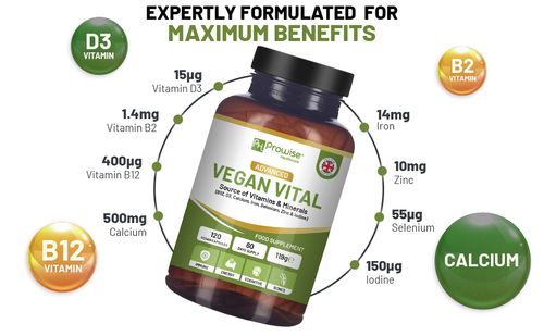 Vegan Vital Multivitamins and Minerals | 120 Vegan Multivitamin Capsule by Prowise Healthcare