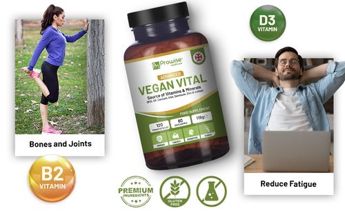 Vegan Vital Multivitamins and Minerals | 120 Vegan Multivitamin Capsule by Prowise Healthcare