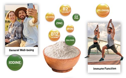 Vegan Vital Multivitamins and Minerals | 120 Vegan Multivitamin Capsule by Prowise Healthcare